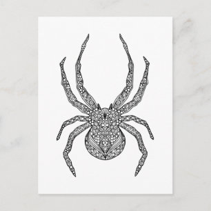 Spider Doodle Vykort