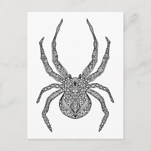 Spider Doodle Vykort