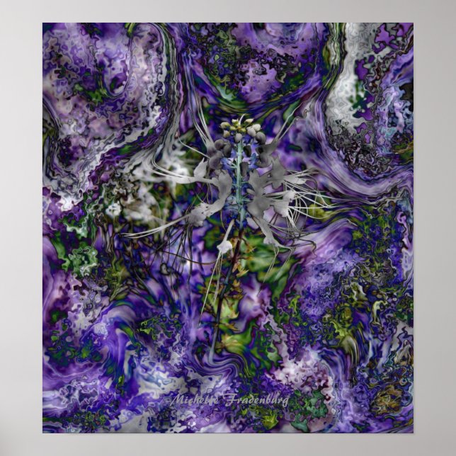 Spider Flower Poster (Framsidan)