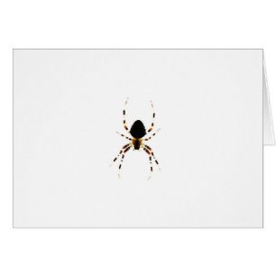Spider gccna hälsningskort