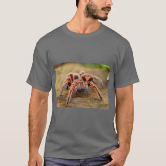 Spider Graphic Nature T Shirt