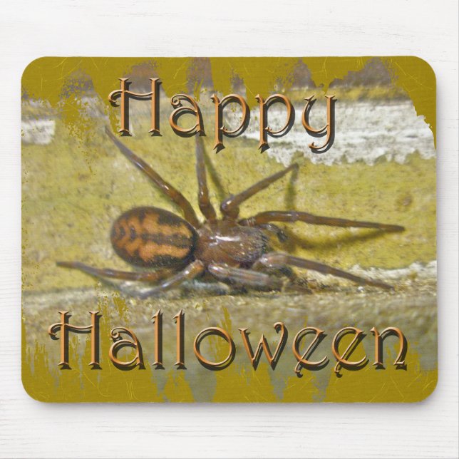Spider Halloween-Helgdag Coordinating Items Musmatta (Framsidan)