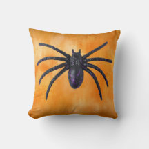 Spider Halloween