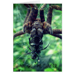 Spider Halloween-middagsinbjudan Hälsningskort