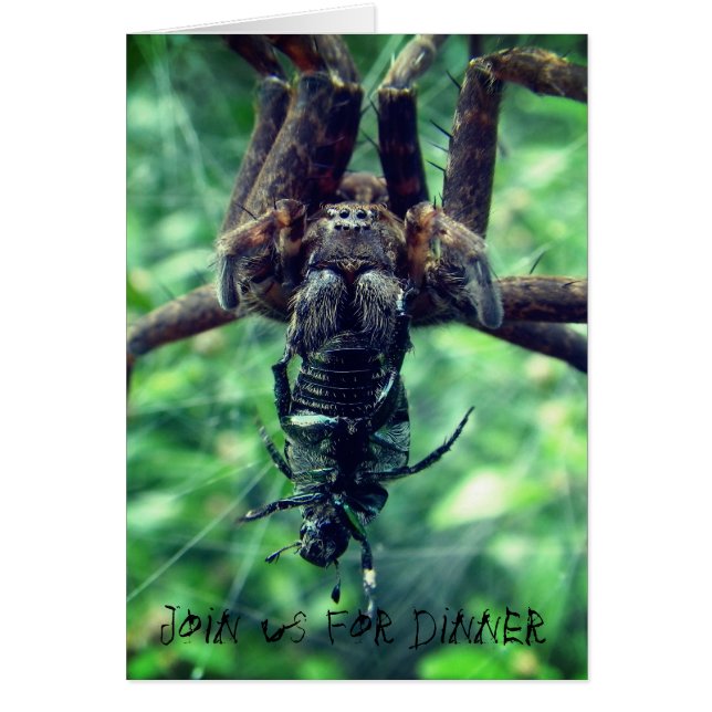 Spider Halloween-middagsinbjudan Hälsningskort (Framsidan)