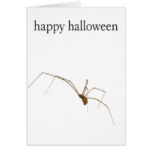 Spider Hälsningskort