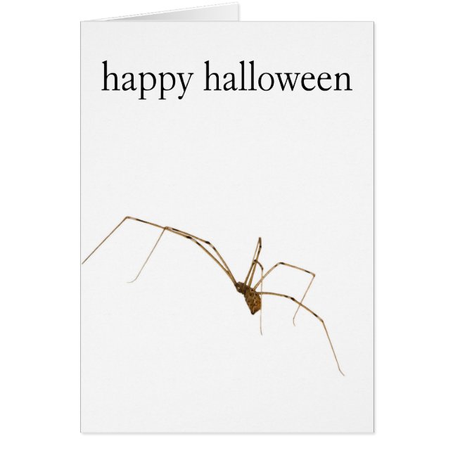 Spider Hälsningskort (Framsidan)