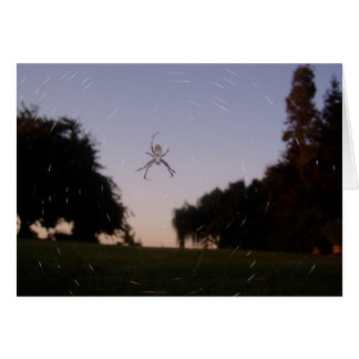 Spider Hälsningskort