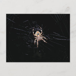 SPIDER I MÖRKEN VYKORT