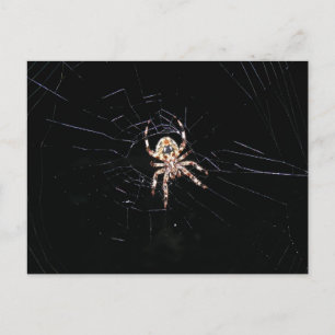SPIDER I MÖRKEN VYKORT