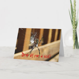 Spider i Webben - Släpp för ett besök! Kort