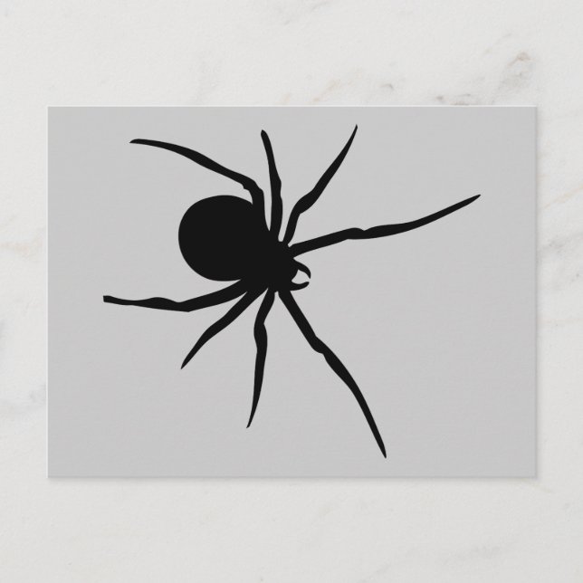 Spider Insekter Spiders Arachnida Black Art Animal Vykort (Framsida)