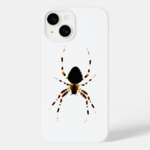 Spider ipha