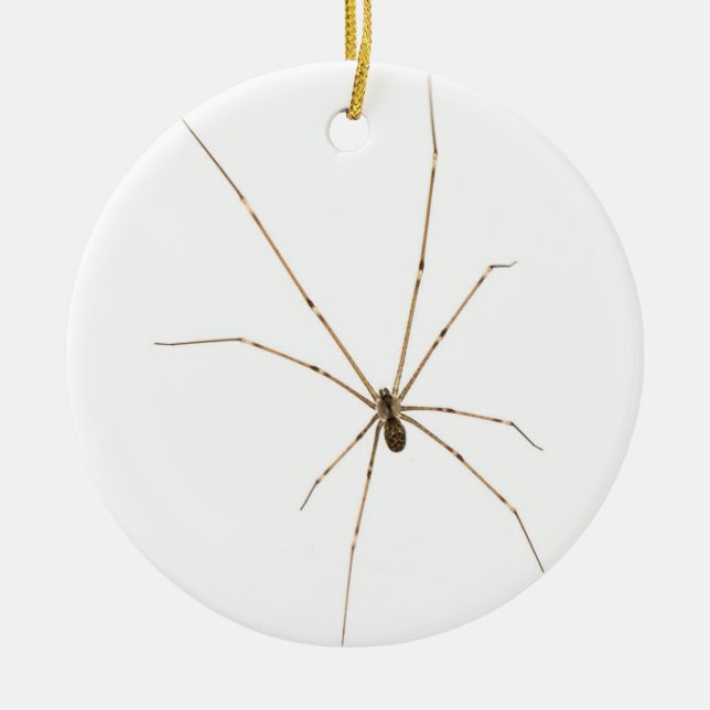 Spider Julgransprydnad Keramik (Framsidan)