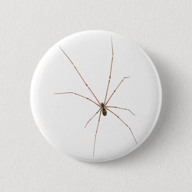Spider Knapp (Framsida)