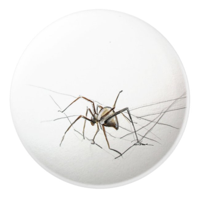 Spider Knopp (Framsidan)