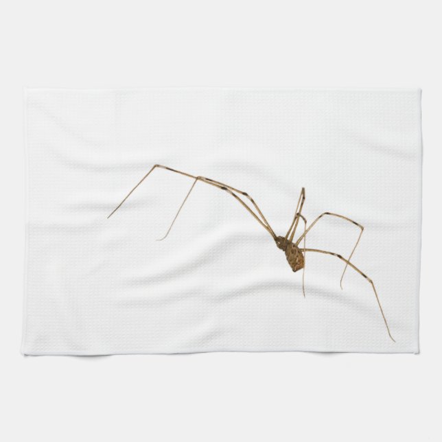 Spider Kökshandduk (Horisontell)