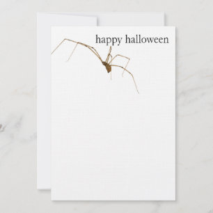 Spider Kort