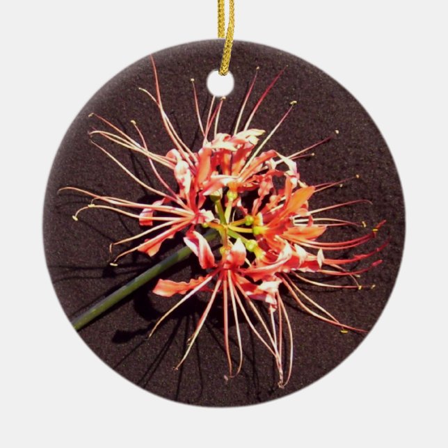 Spider Lily Memorial Ornament - 2 (Framsidan)