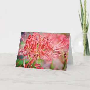 Spider Lily Scripture Card Ecclesiastes 7:13 Kort
