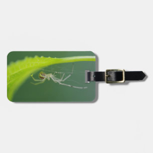 Spider Luggage Tag Bagagebricka