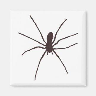 Spider Magnet