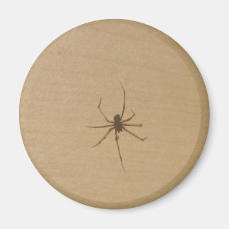 Spider Magnet