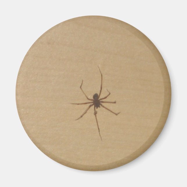 Spider Magnet (Framsidan)