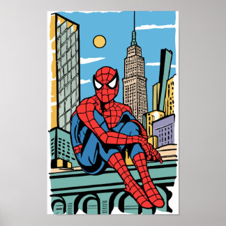 Spider-man auf Dach Poster