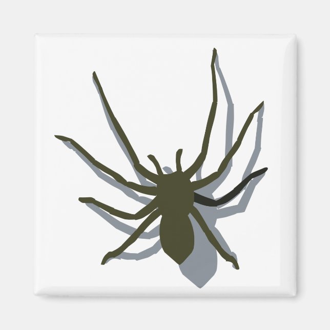 Spider med skuggmagnet magnet (Framsidan)