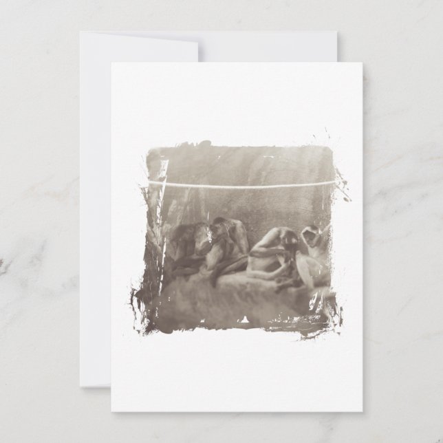 Spider Monkey (Framsida)