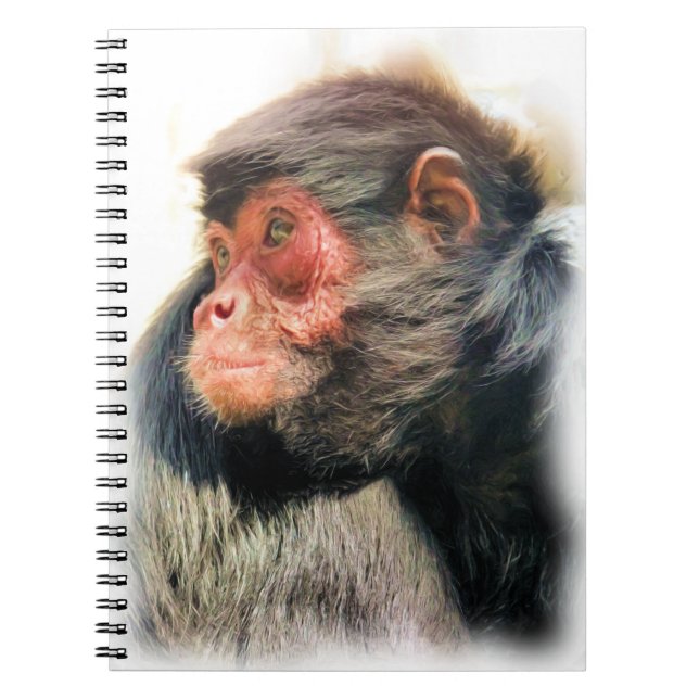 SPIDER MONKEY ANTECKNINGSBOK (Framsidan)