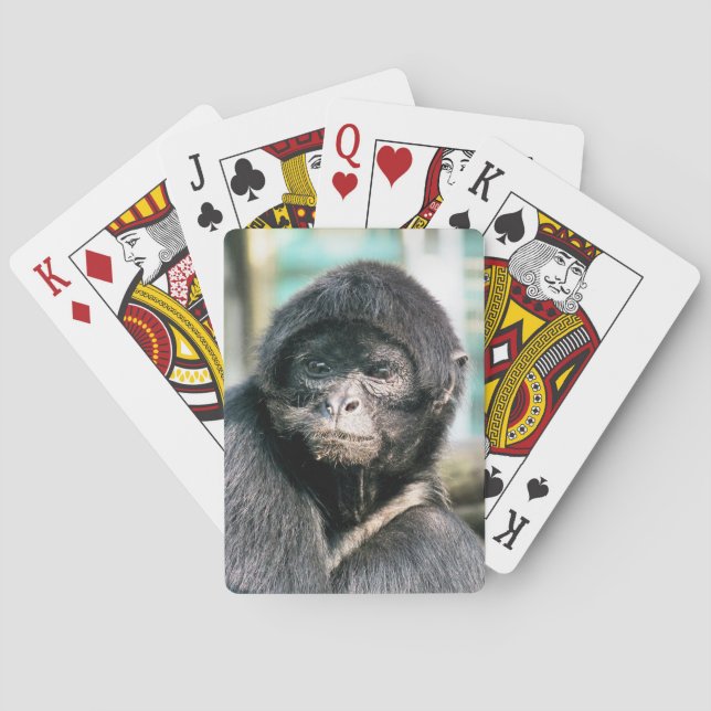 SPIDER MONKEY CASINOKORT (Baksidan)