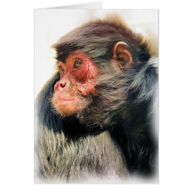 SPIDER MONKEY HÄLSNING CARDS HÄLSNINGSKORT (Framsidan)
