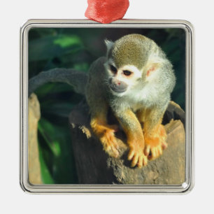 Spider Monkey Julgransprydnad Metall