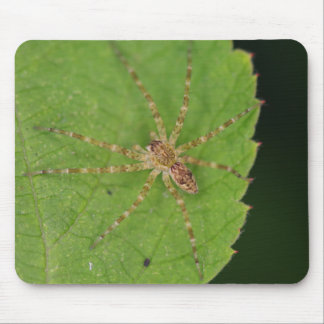 Spider Mouse Pad Musmatta