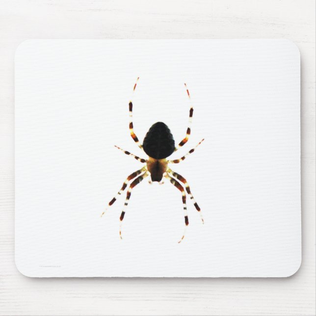 Spider mpcnm musmatta (Framsidan)