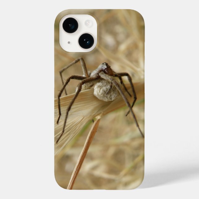 Spider och Egg Sac (Baksida)