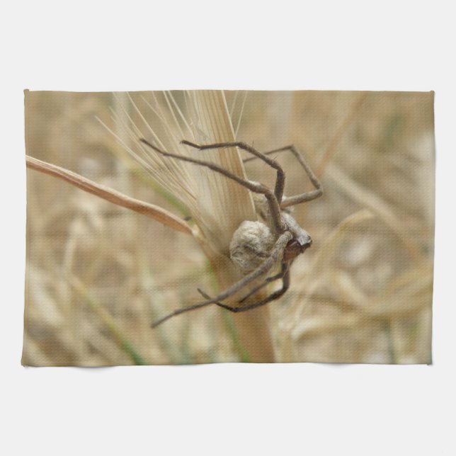 Spider och Egg Sac Kitchen Towel Kökshandduk (Horisontell)