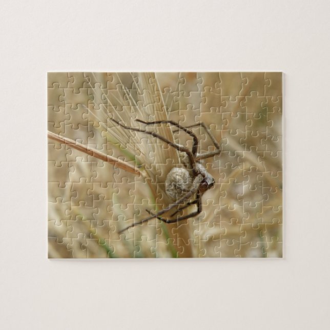 Spider och Egg Sac Puzzle Pussel (Horisontell)