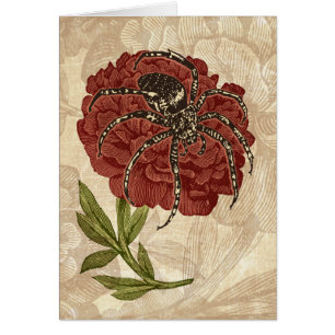 Spider på blomman hälsningskort