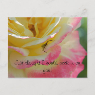 Spider på ett vykort för Ro