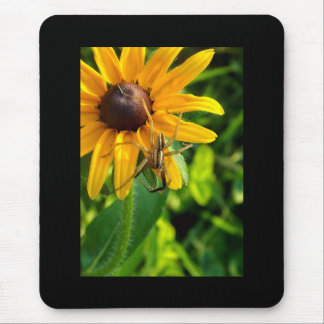 Spider på Solros Mousepad Musmatta
