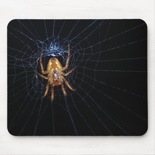 Spider på spindelnät musmatta (Framsidan)