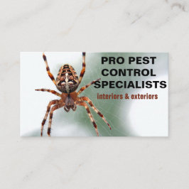 Spider Photo Pest Control Service Visitkort