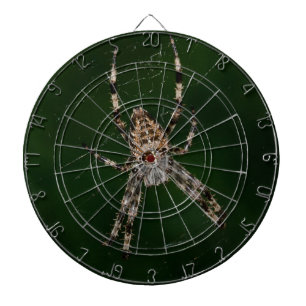Spider Piltavla