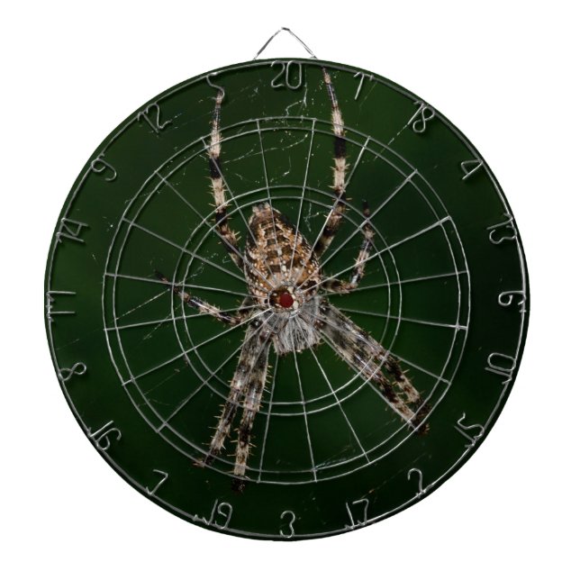 Spider Piltavla (Framsidan)