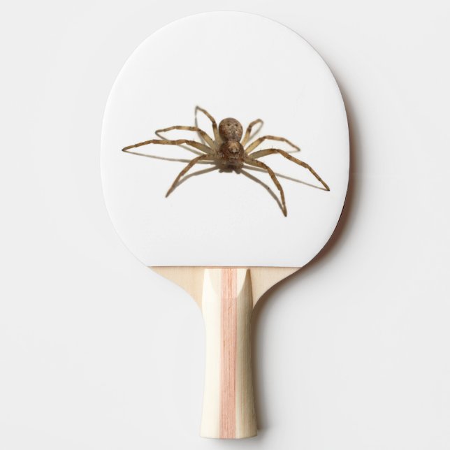 Spider Pingisracket (Framsidan)