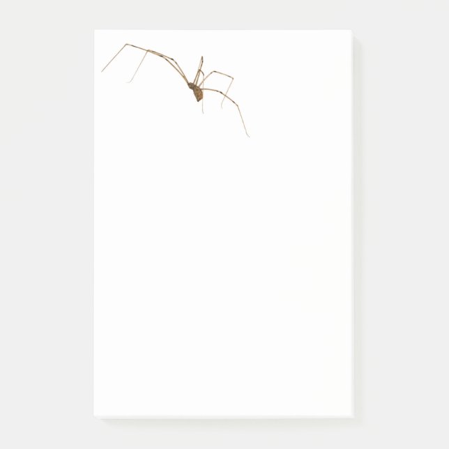 Spider Post-it Block (Framsida)