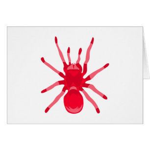 Spider (röd) hälsningskort
